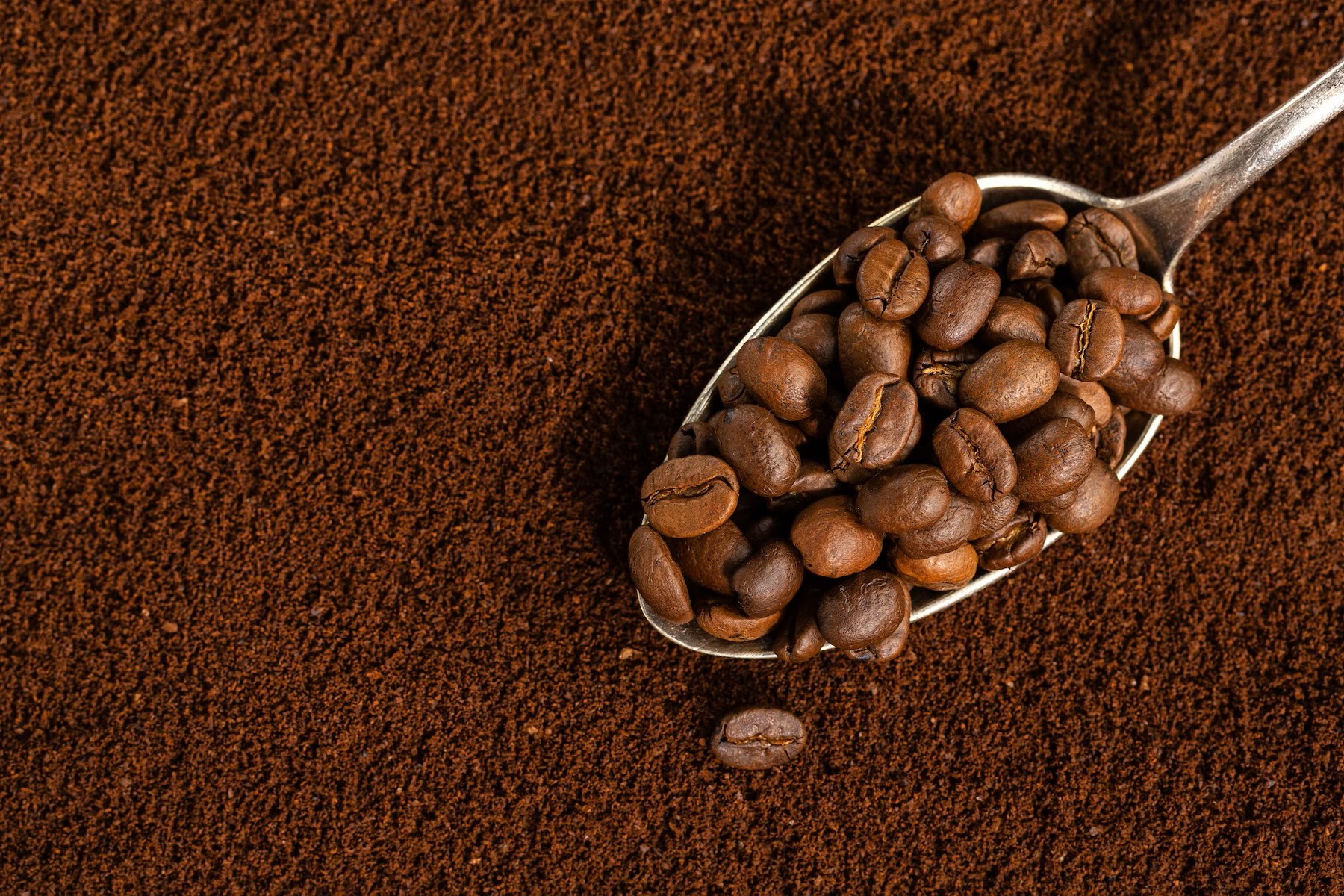 coffee-beans-on-spoon-on-ground-coffee-closeup_1220-6144.jpg