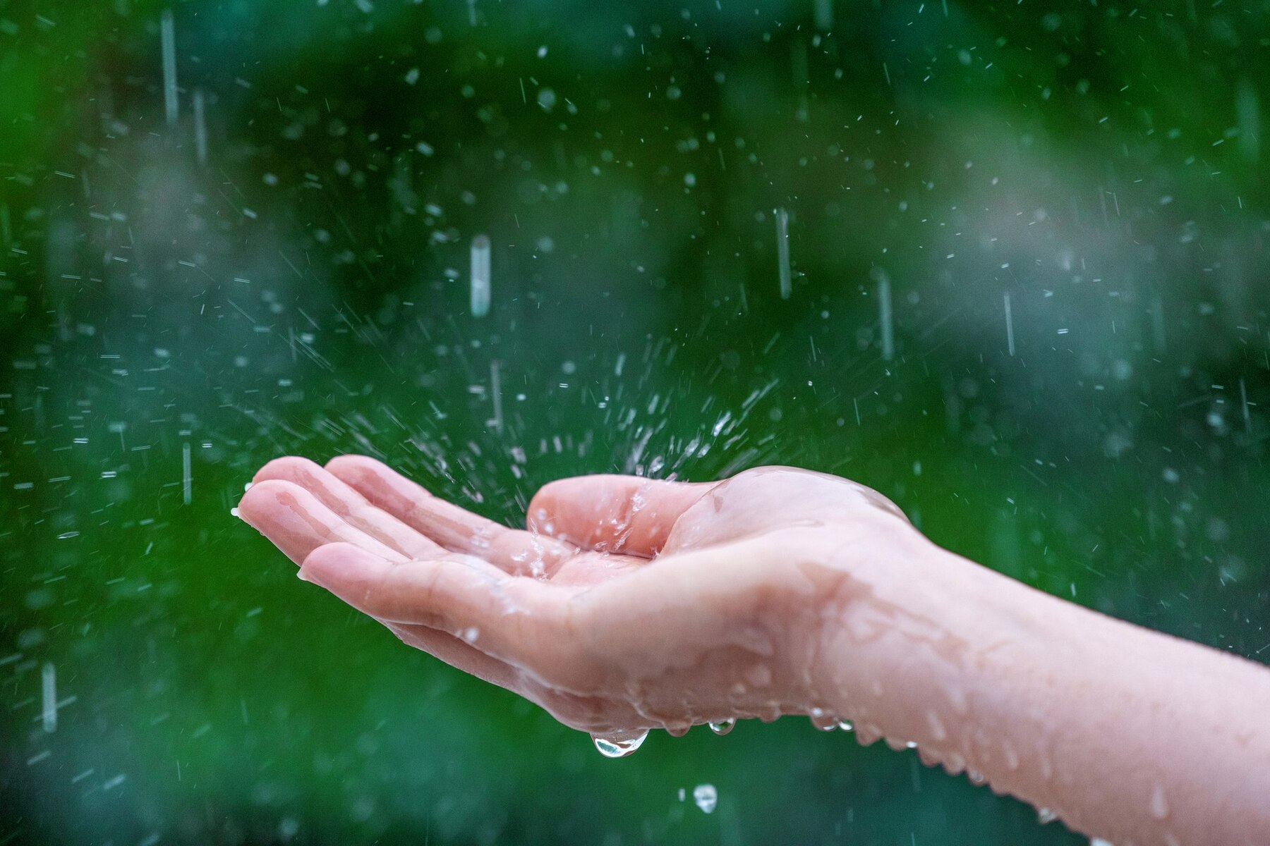 close-up-of-wet-female-hands-in-rain_335224-884 (1).jpg