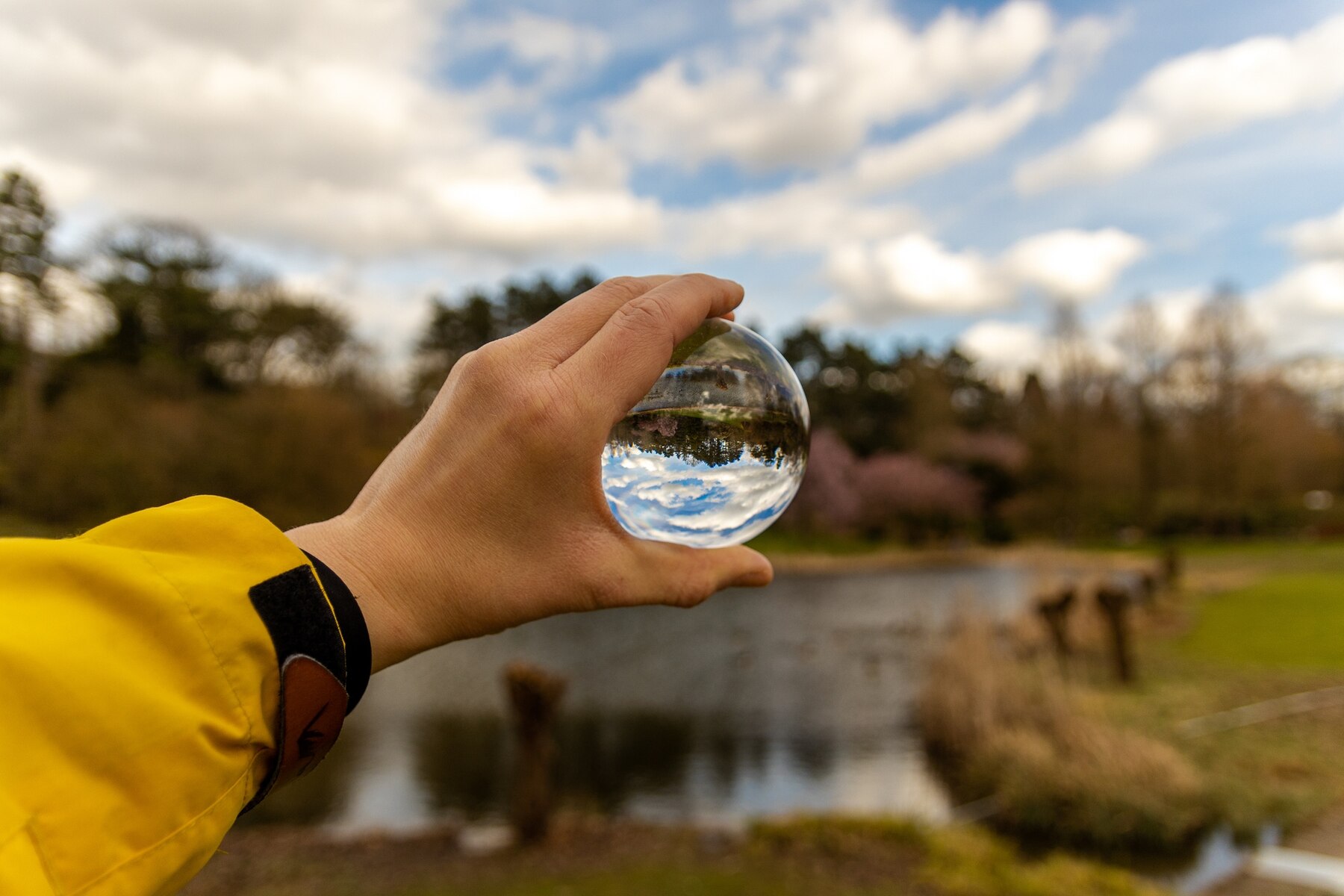 hand-holding-a-glass-sphere-in-the-nature_181624-27204.jpg