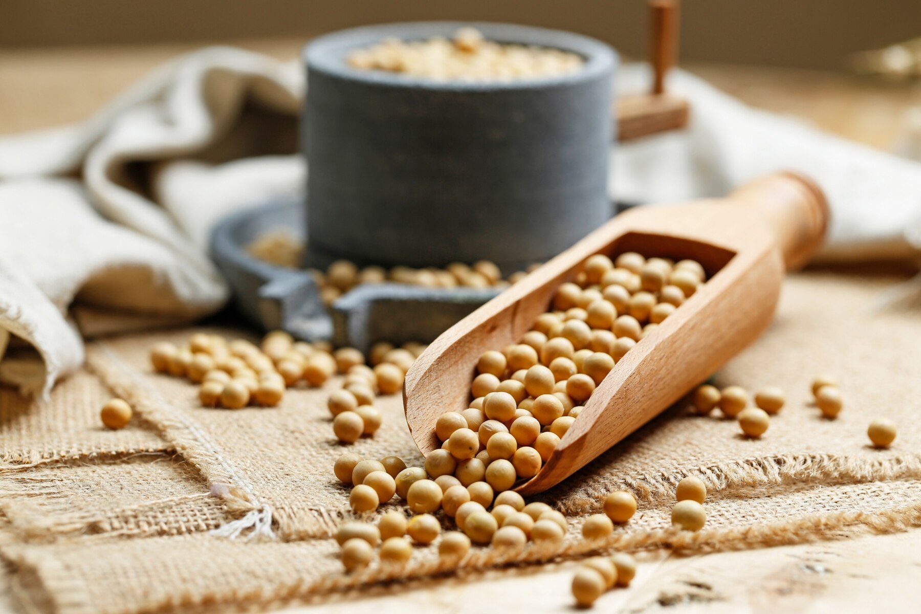 soybeans-in-wooden-scoop-and-a-little-stone-mill_1387-306.jpg